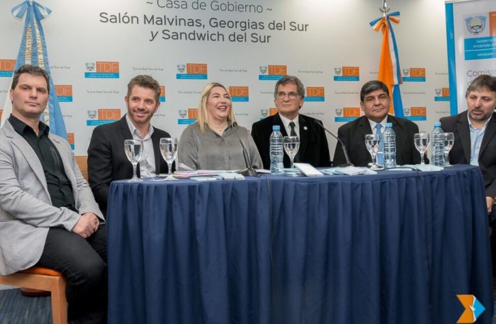 Gobierno promulgó ley que crea el órgano de revisión de salud mental