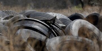 Neumáticos usados y medio ambiente