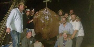 Pescaron una raya de ru00edo de 150 kilos en el paraje Guaycuru00fa, a la altura de la localidad de Alejandra en la Provincia de Santa Fe