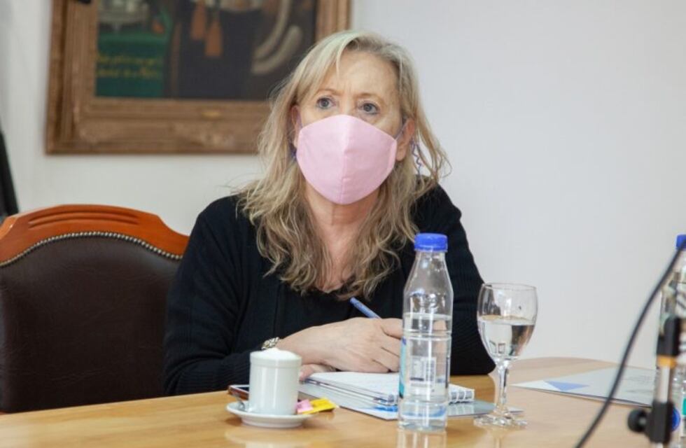 Chapperón: "Estamos en una situación sanitaria compleja"