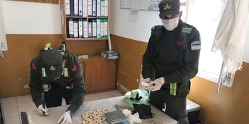 Gendarmes detectan cápsulas con cocaína\u002E (Gendarmería)