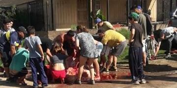 Volcó un camión con ganado y los vecinos carnearon a una vaca