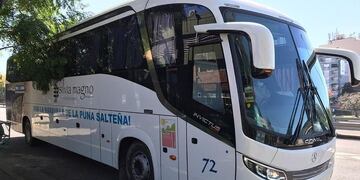 Colectivo de Silvia Magno