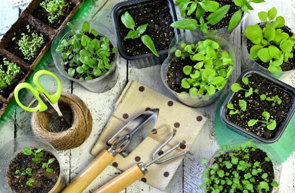 Más de 200 rafaelinos participaron de una charla sobre huertas agroecológicas