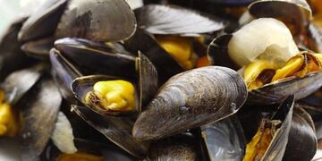 Continúa la mareja roja en Rada Tilly