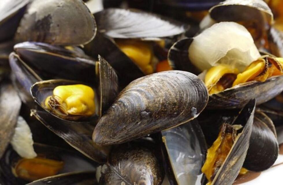 Continúa la mareja roja en Rada Tilly