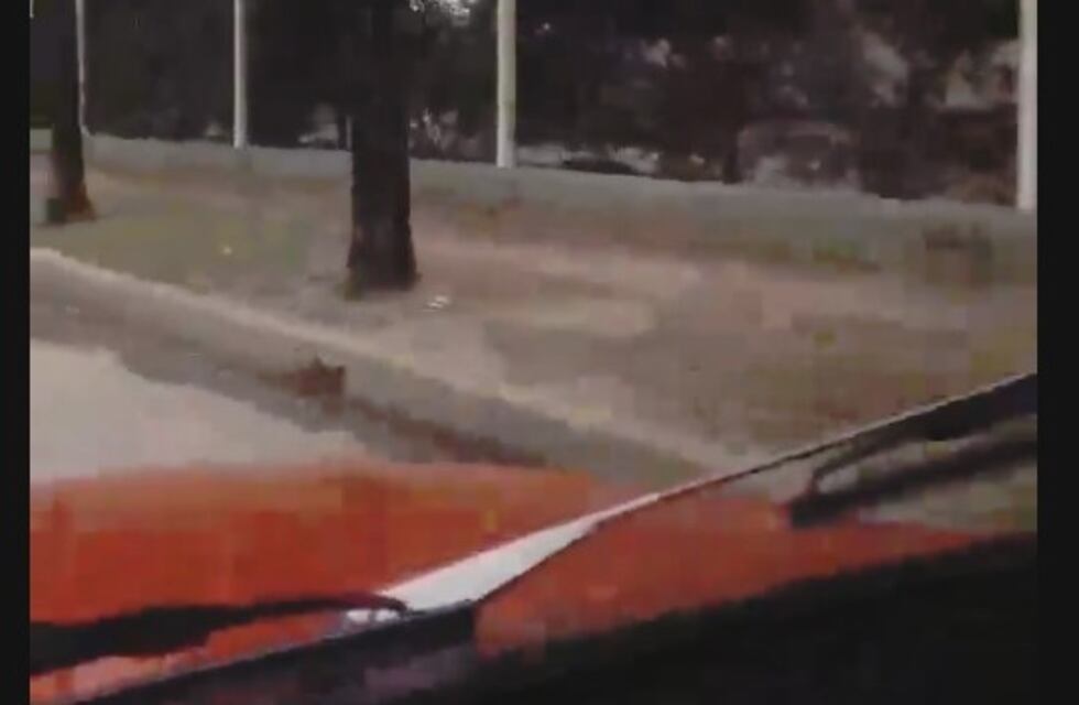 "Hay que laburar muchachos", el video de un vecino de Arroyito que se volvió viral en Facebook