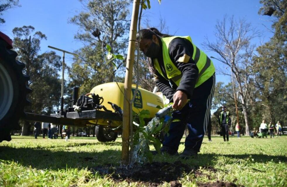 Comenzaron las tareas de forestación en el Paseo del Bosque