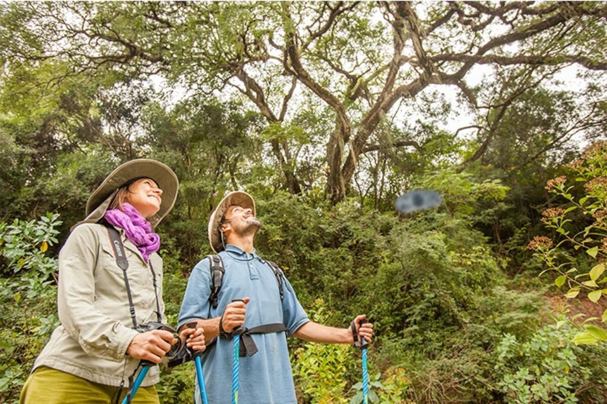 Yungas Salteñas en Rosario de la Frontera\u002E (Gentileza del Ministerio de Cultura, Turismo y Deportes de la Provincia de Salta)