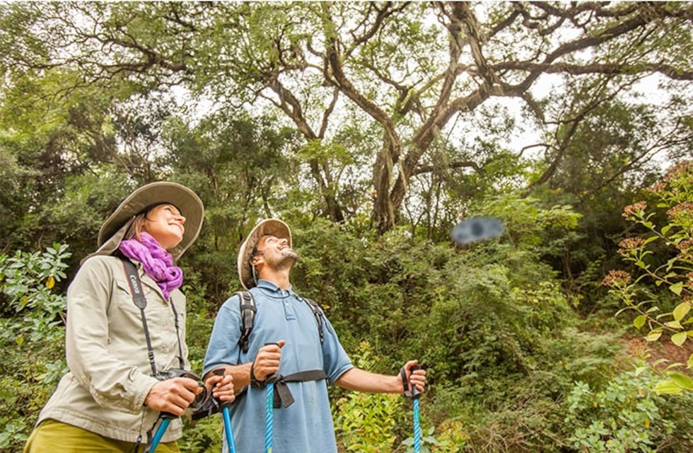 Destacan la belleza de las yungas salteñas y su potencial turístico