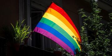 Bandera de la diversidad\u002E Imagen ilustrativa\u002E