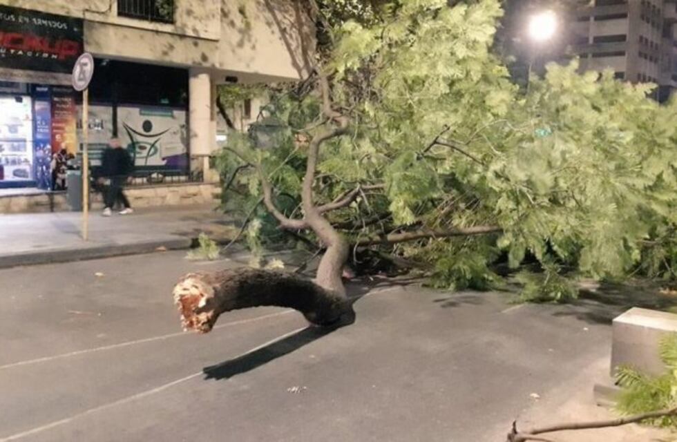 Destrozos y barrios sin luz por el viento: dónde llamar ante una emergencia