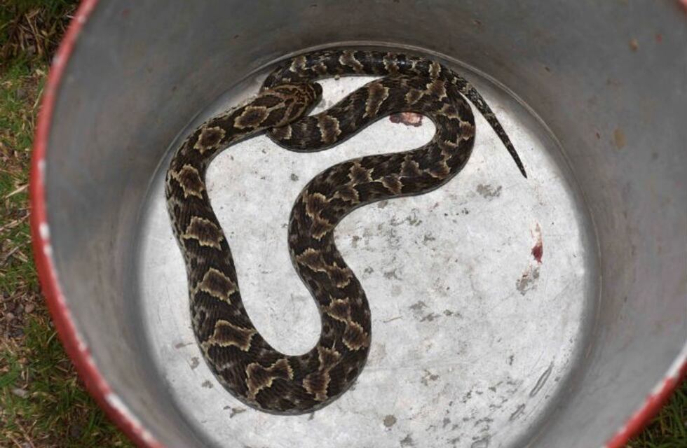 Charla sobre animales peligrosos en Agua de Oro
