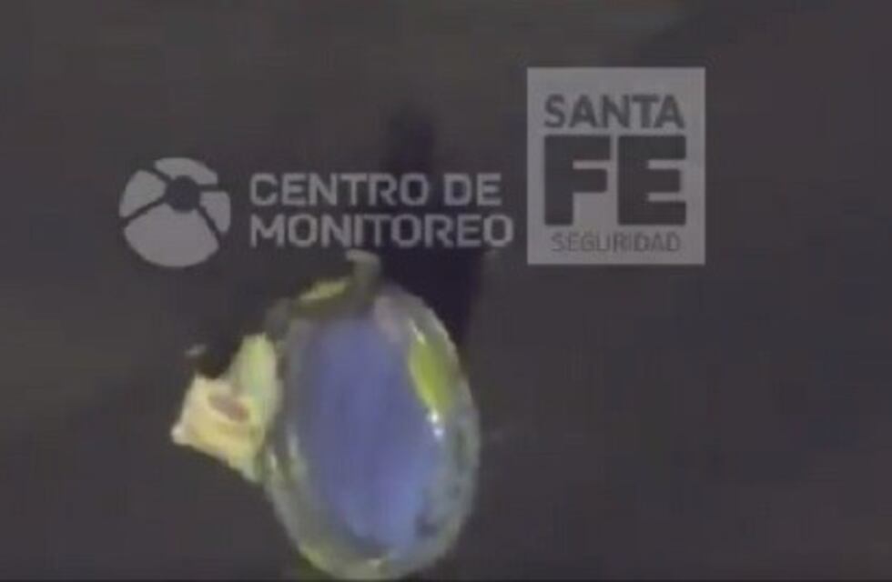 Se quedó sin chapuzón: un ladrón robó una pileta inflable, quedó grabado y lo detuvieron