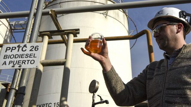 An engineer shows a sample of biodiesel at the industrial complex of the Louis Dreyfus Company in General Lagos, Santa Fe province, Argentina on September 13, 2017\u002E \r\nAfter a stoppage of one month, Argentina's biodiesel exports restart with the European market, Spain in particular, as buyer\u002E Argentina can produce 4\u002E5 million tons of vegetal oil --the base for biodiesel, used mainly in cars-- per year, from which one million for the local market\u002E / AFP PHOTO / EITAN ABRAMOVICH santa fe santa fe planta produccion biodiesel Louis Dreyfus produccion de biodiesel biocombustibles