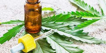 Tratamiento con cannabis\u002E