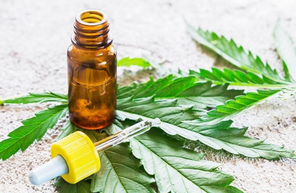 Dictarán un curso de cannabis medicinal a médicos de Cipolletti