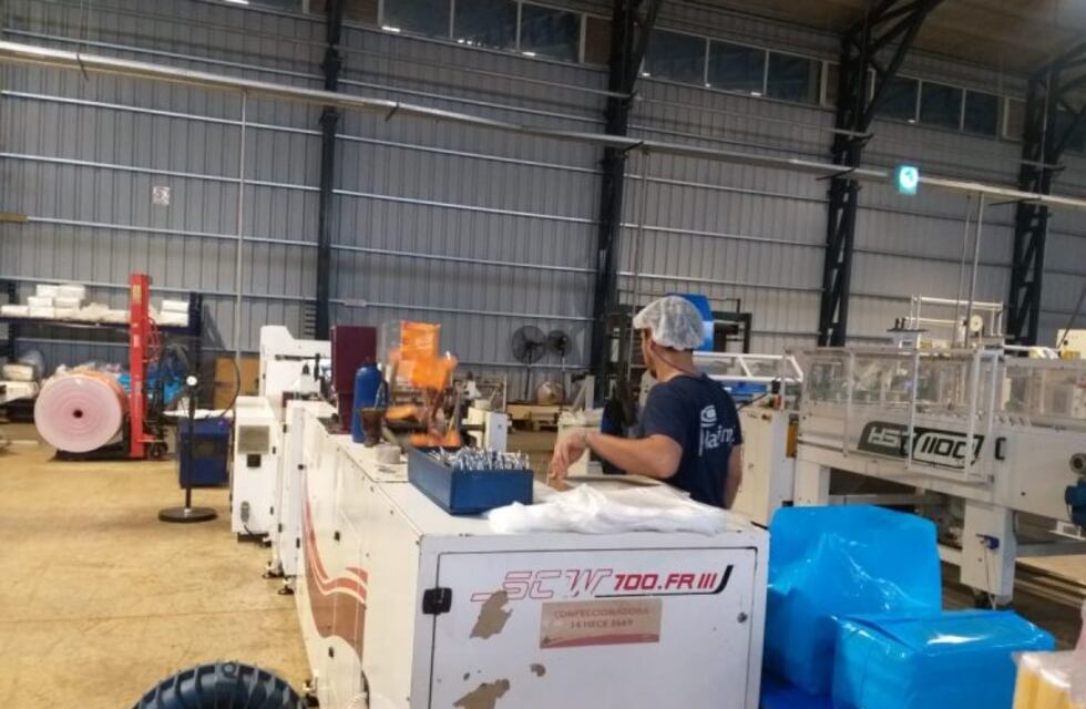 En Posadas se producen bolsas 100% ecológicas