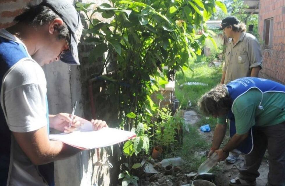 Sigue la fumigación en la capital para evitar la propagación del dengue