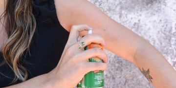 Advierten que la situación del dengue en Rosario es crítica (Municipalidad de Rosario)