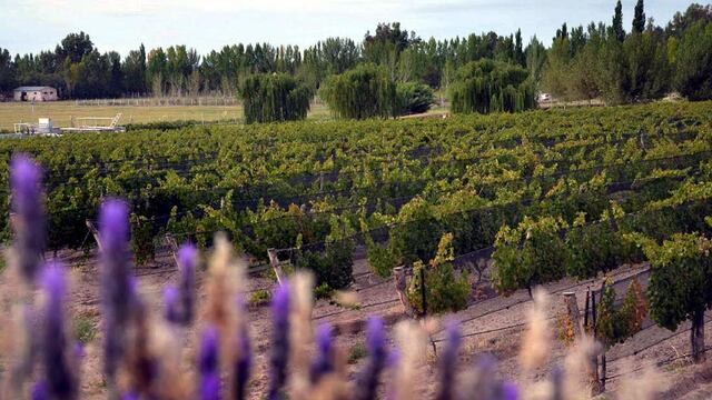 Las economías regionales cayeron en las exportaciones y ponen más presión sobre las arcas del Banco Central.