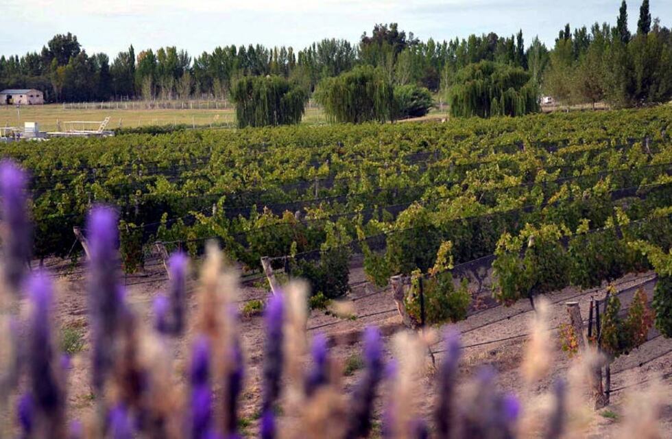 Crisis en el comercio exterior: las exportaciones de las economías regionales caen y no cubren la escasez dólares