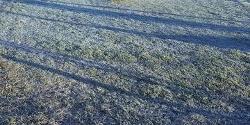 Rosario experimentó una temperatura bajo cero histórica\u002E (Twitter)