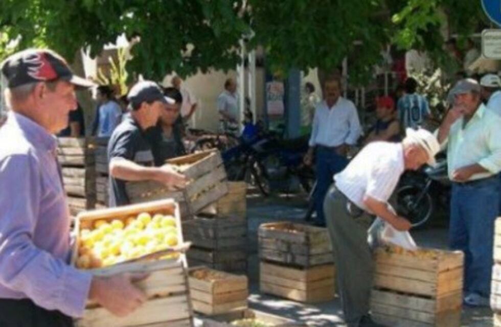 Productores del sur mendocino regalan el damasco por el bajo precio