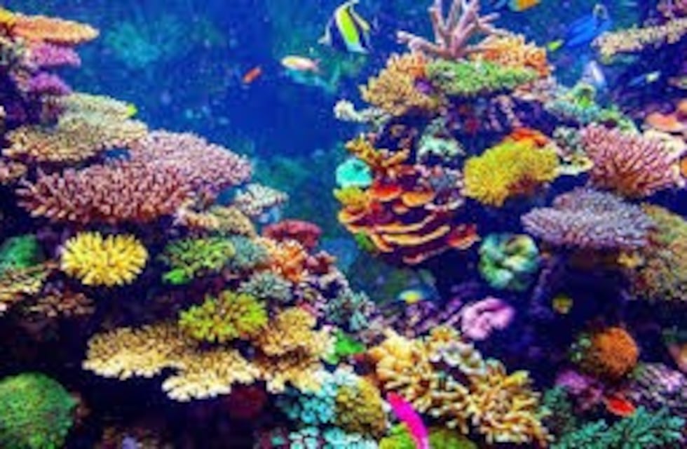 Sorprendente: revelan cuál es el único animal visible desde el espacio