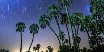 Rubén Antonin El Palmar