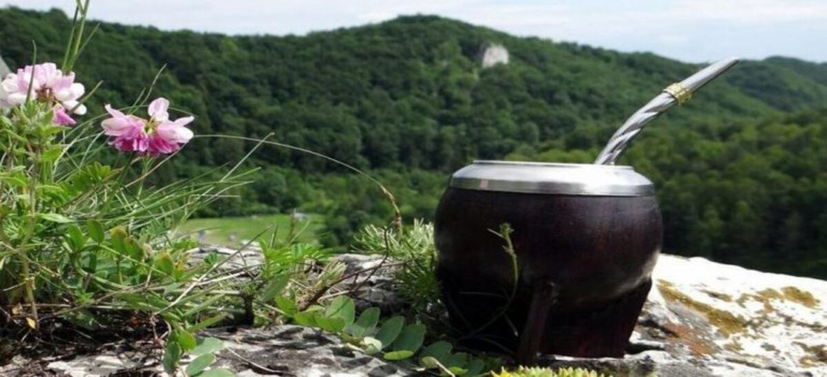 Ruta de la yerba mate