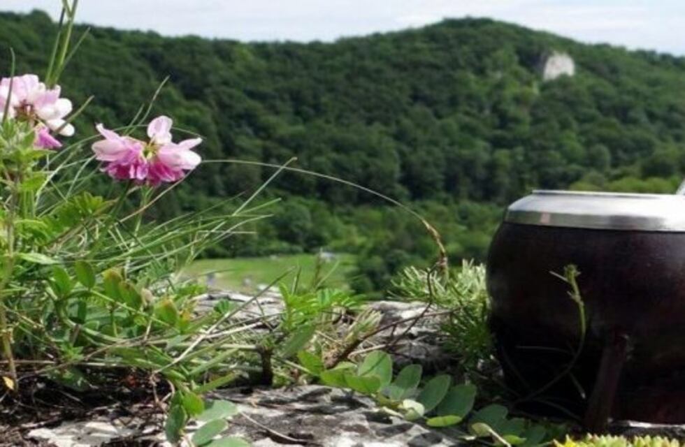 La Ruta de la Yerba Mate busca ser Patrimonio de la Humanidad