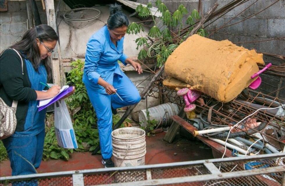 Confirman nuevos casos de dengue en la provincia de Salta