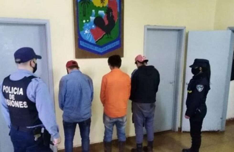 Sorprendieron y detuvieron a tres sujetos por cosechar yerba de una chacra ajena