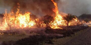 Incendio Forestal