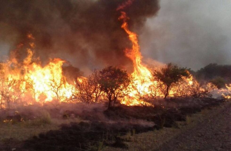 Los incendios en el sur de Mendoza ya arrasaron 30.000 hectáreas