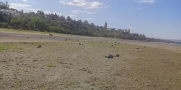 Recolección de basura en el Lago San Roque\u002E