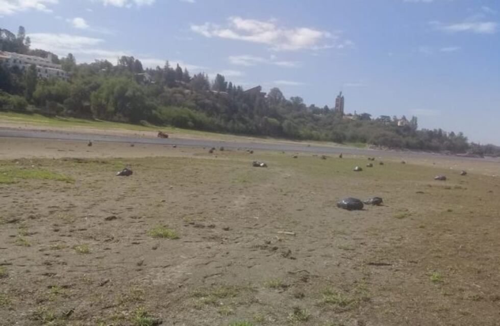 Limpieza en el Lago San Roque: "en dos días se recolectaron más de 60 bolsas de basura"
