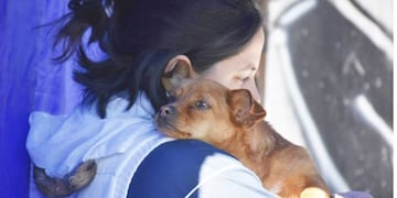 Pérez móvil estará en barrio 78 viviendas y Parque Güemes