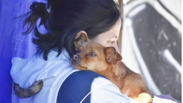 Pérez móvil estará en barrio 78 viviendas y Parque Güemes