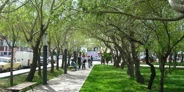 Nutrida oferta de productos en el Paseo Aniversario 133