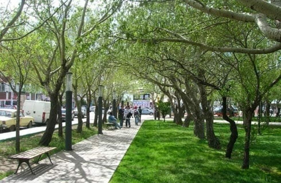 Nutrida oferta de productos en el Paseo Aniversario 133