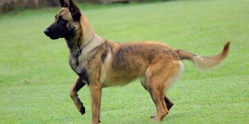 Foto de la web\u002E