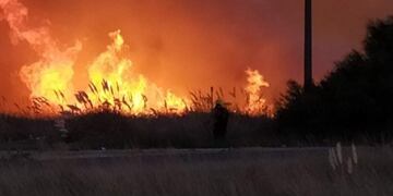 Incendio en Ruta 229