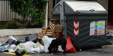 "Queremos que se recolecte la basura", dijo el abogado de la Asamblea Vecinalista de Paraná