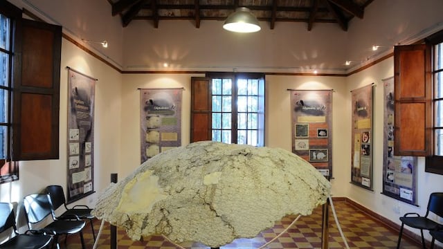 Parque Estancia la Quinta