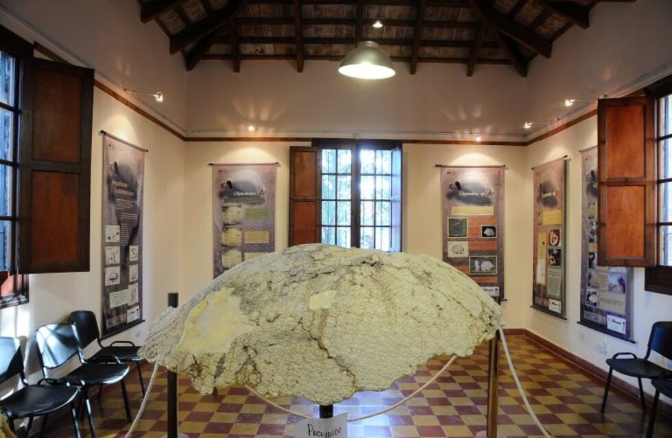 El viernes llega la Noche de los Museos a Carlos Paz