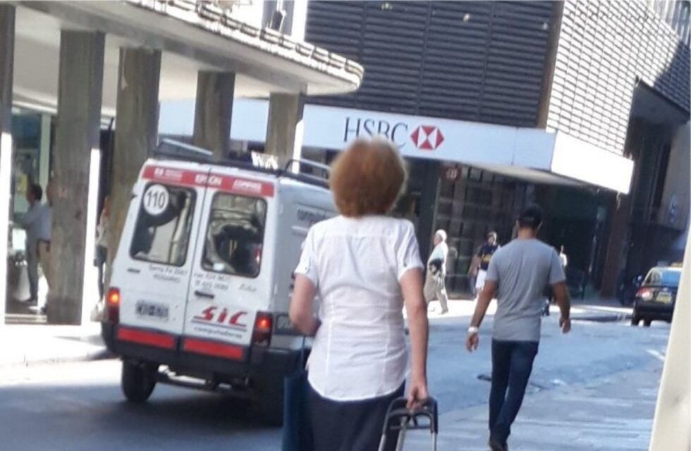 El perrito "vago" que pasean en carrito por el centro rosarino