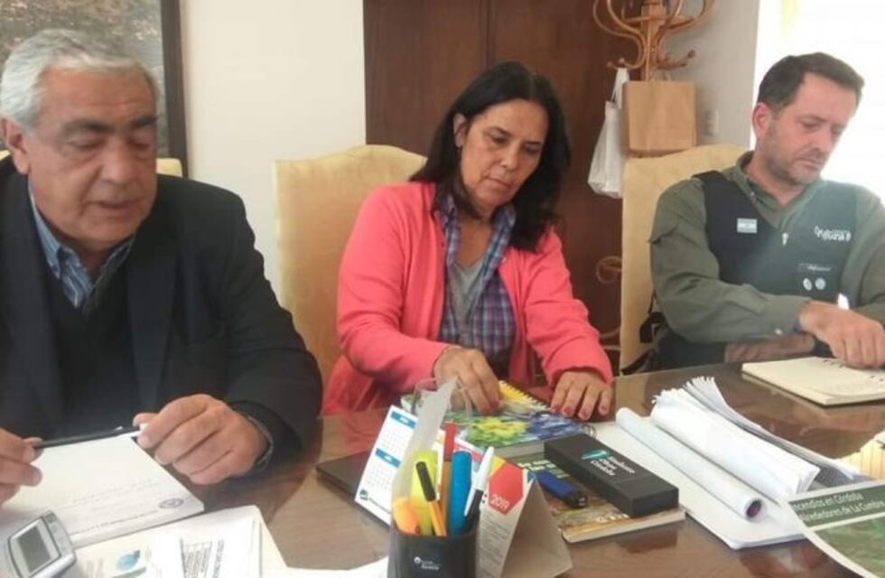 La Cumbre presentó un "plan de reforestación" luego de los incendios