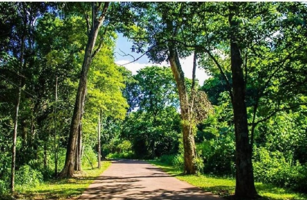 Hoteles de las 600 hectáreas de Iguazú deberán separar sus residuos